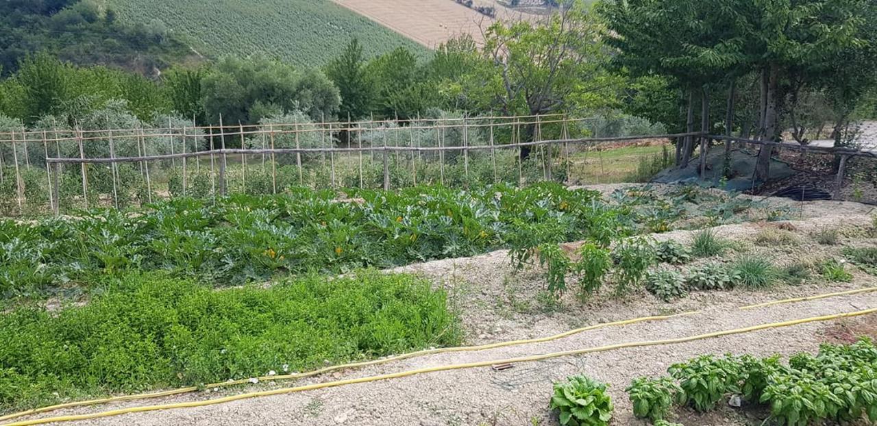 Agriturismo Fiore Di Campo Фермо Экстерьер фото